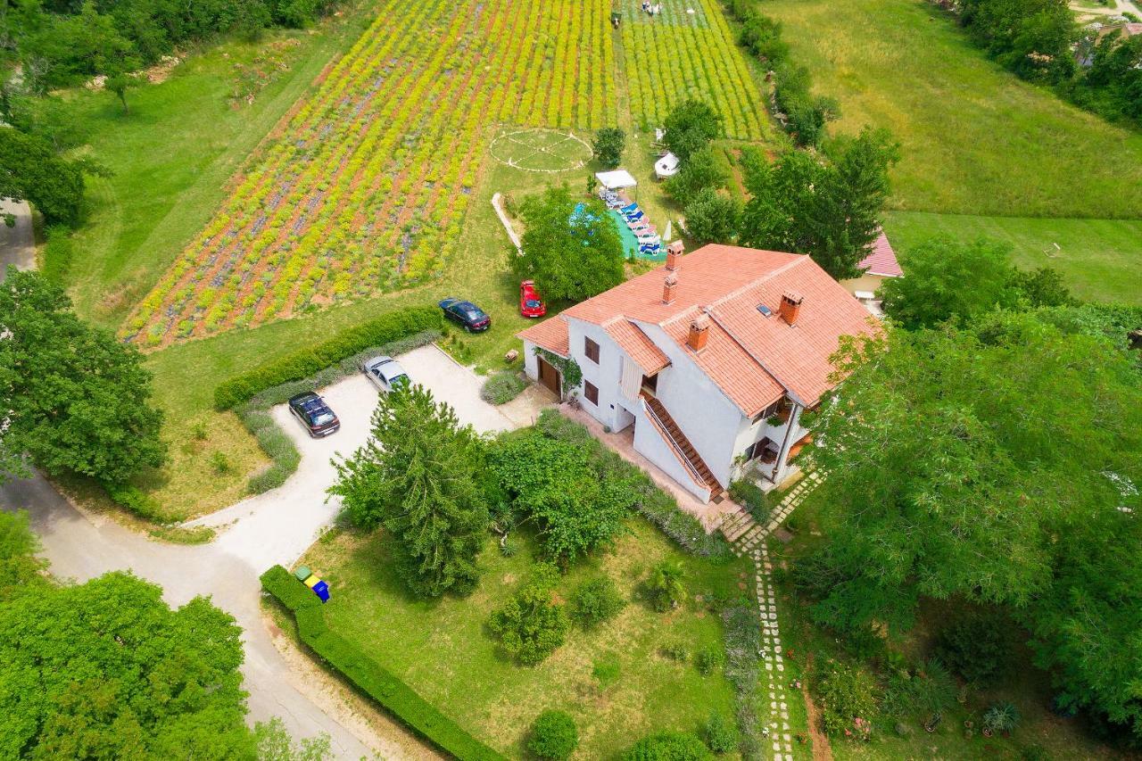 Apartments Valoda Nedeščina المظهر الخارجي الصورة